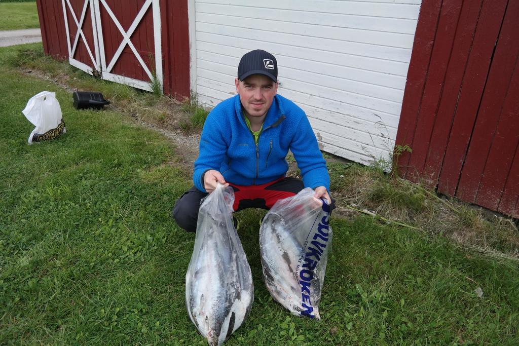 Holmset Camping And Fishing Namdalseid Exterior foto